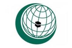 الجزائر تشارك في أشغال اتحاد الدول الاعضاء بمنظمة التعاون الاسلامي بالخرطوم غدا