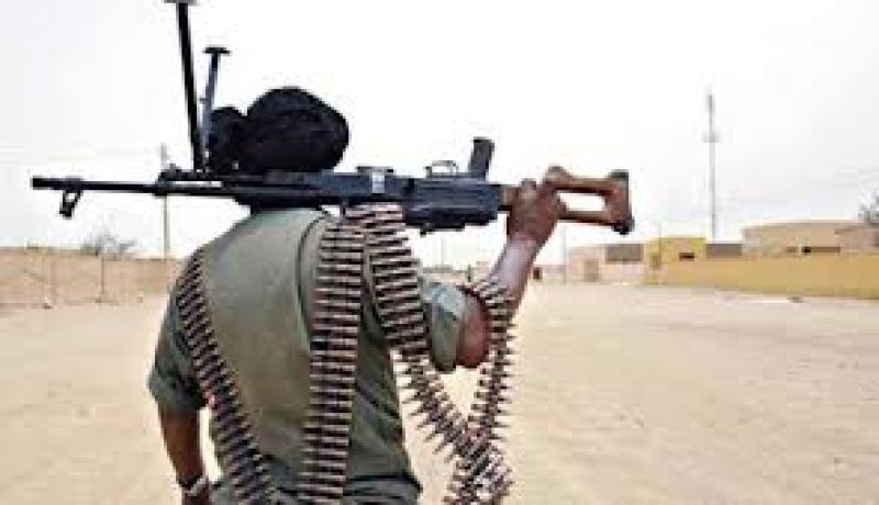 مصر تقترح 5 محاور لحل أزمة مالي  و تحذر من تداعيات التدخل العسكري