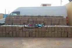 حجز 33 قنطارا من المخدرات بعين تموشنت