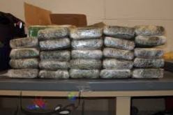 حجز أكثر من نصف قنطار من المخدرات بالوادي