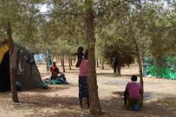 ترحيل نيجيريتان في وضعية غير قانونية بالجزائر نحو بلدهما الأصلي بعد خضوعهما لعملية جراحية