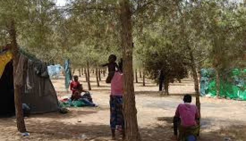 ترحيل نيجيريتان في وضعية غير قانونية بالجزائر نحو بلدهما الأصلي بعد خضوعهما لعملية جراحية