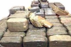 حجز 275 كيلوغرام من الكيف المعالج بولاية بشار