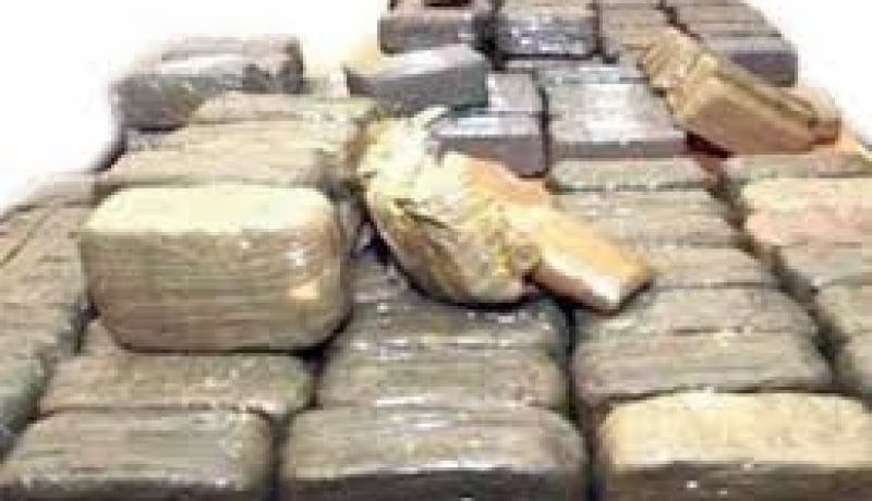 حجز 275 كيلوغرام من الكيف المعالج بولاية بشار