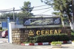 استحداث 32 خلية جوارية جديدة للتضامن سنة 2014