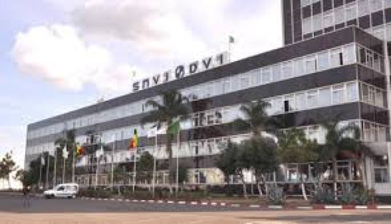 انشاء وحدة جديدة للهياكل برويبة قريبا حسب الرئيس المدير العام للشركة الوطنية للسيارات الصناعية