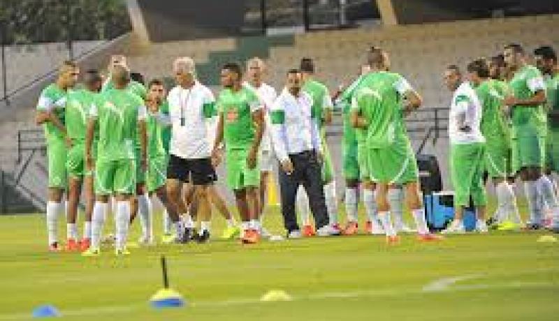 الخضر عاينوا المنتخب البلجيكي اليوم السبت