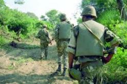 القضاء على إرهابي بضواحي الداموس بولاية تيبازة