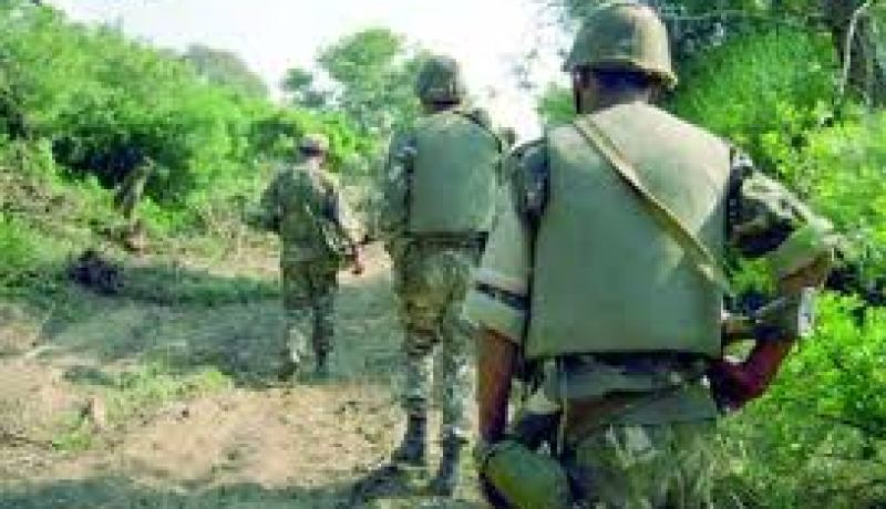 القضاء على إرهابي بضواحي الداموس بولاية تيبازة