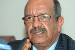 مساهل يجري مباحثات مع وزير الخارجية المصري