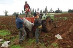 الفـلاحة بإمكانها تعويــض البترول خلال 15 سنة