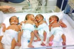 سيدة بجيجل تضع أربعة أطفال في ذكرى أول نوفمبر