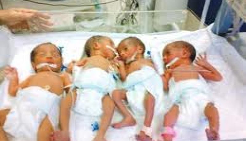 سيدة بجيجل تضع أربعة أطفال في ذكرى أول نوفمبر