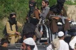 الشرطة الافغانية تعتقل 5 من مسلحي حركة طالبان في جنوب أفغانستان