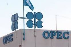 أوبك تتوقع ارتفاع الطلب على نفطها خلال 2015
