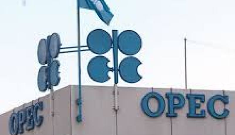 أوبك تتوقع ارتفاع الطلب على نفطها خلال 2015