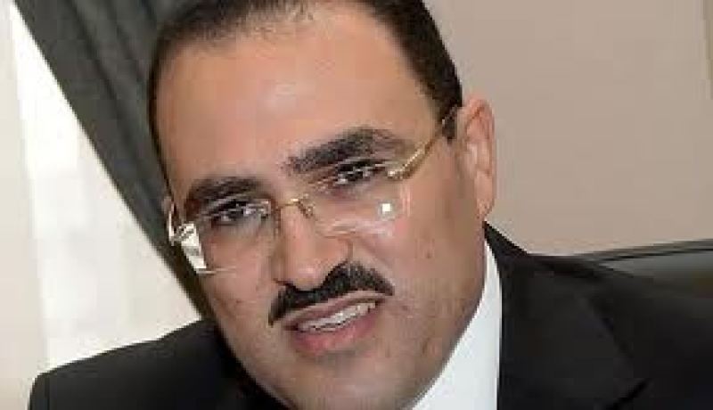 مصر تدعم الحل السلمي للأزمة في مالي