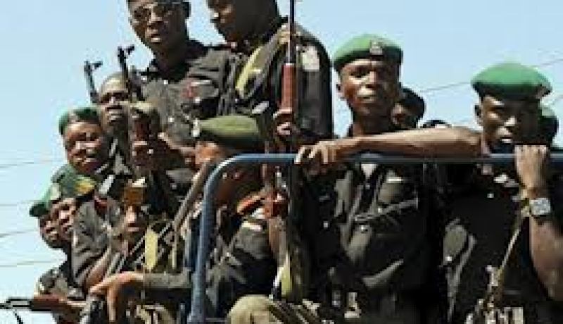 نيجيريا على استعداد لارسال 600 جندي الى مالي
