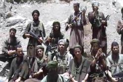 منشقون عن جماعتي عاصم و سليم الأفغاني لتدارك أزمة الأمراء