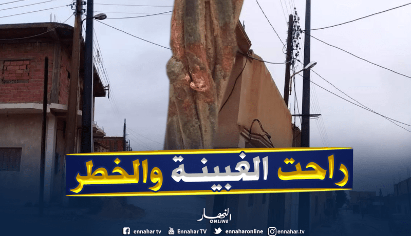 تجديد شبكة الكهرباء بالحي القديم بلدية أم الطيور بالوادي