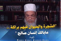 الشيخ شمس الدين”التبرك بالأولياء والصالحين جائز شرعا”