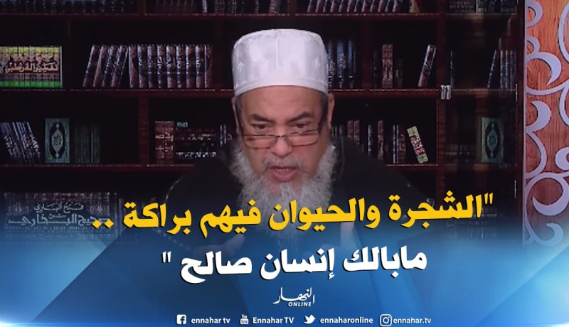 الشيخ شمس الدين”التبرك بالأولياء والصالحين جائز شرعا”
