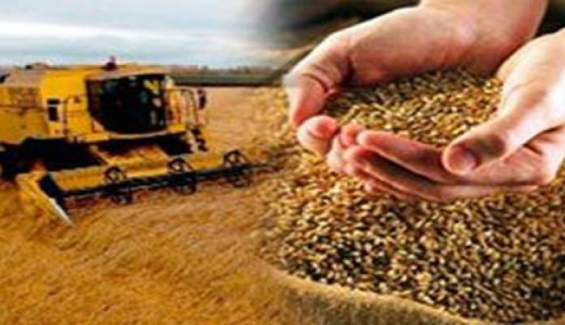 لجنة مشتركة للتعاون الفلاحي بين الجزائر و فلسطين