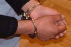 توقيف شـاب اصطاد 11 قردا في أم البواقي