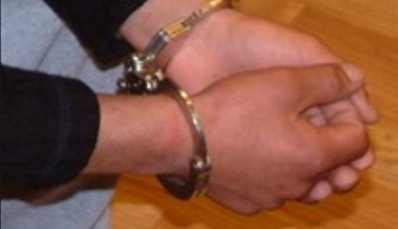 توقيف شـاب اصطاد 11 قردا في أم البواقي