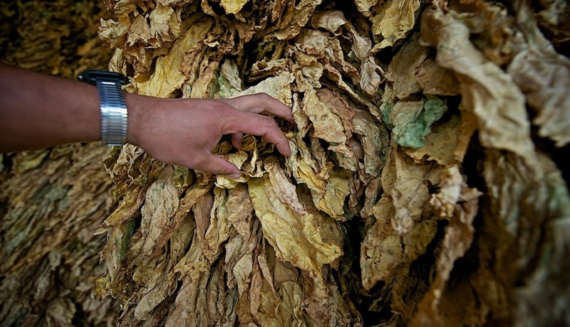 حجز قرابة 4 طن من التبغ المهرب ببسكرة