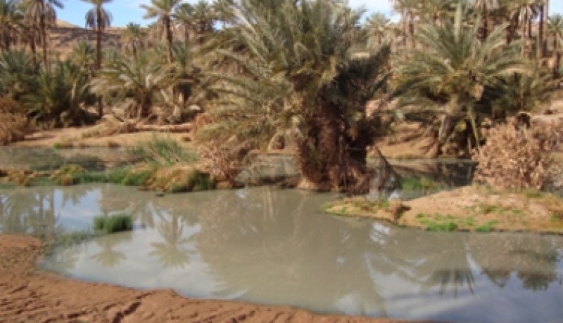 مشروع الحظيرة الوطنية (تاغيت-غير) في طور الإستكمال