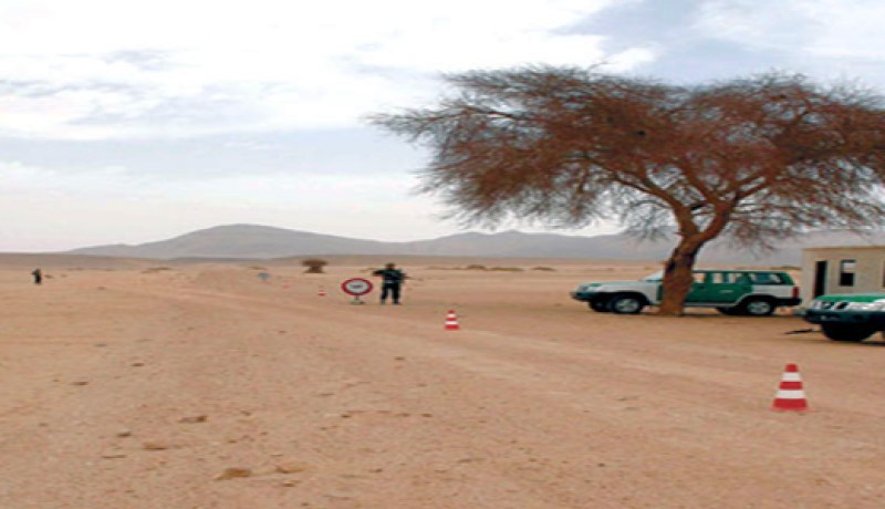 إيداع أكثر من 4900 ملف للحصول على عقود الامتياز الفلاحي بالشلف