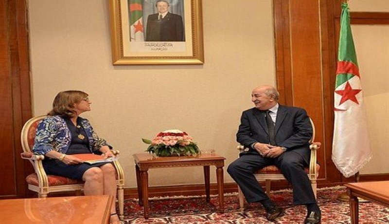 تبون يستقبل سفيرة كندا بالجزائر