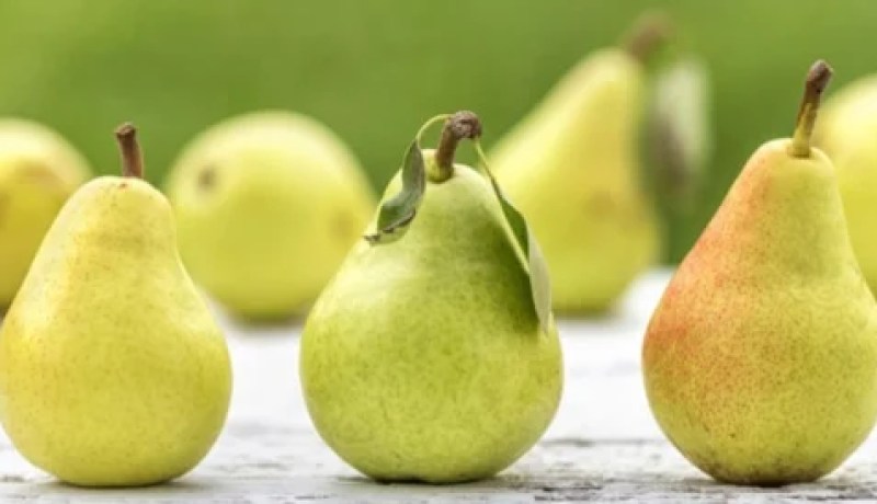 أقطف ثمرة الإجاص…ثمار الإجاص يأس من موضوع