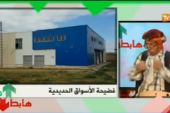 الشيخ النوي: الذيابة في الجزائر “جو” بر” بحر”