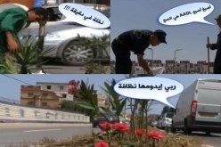 بالفيديو.. “البريكولاج” لتزيين العاصمة قبل زيارة تبون