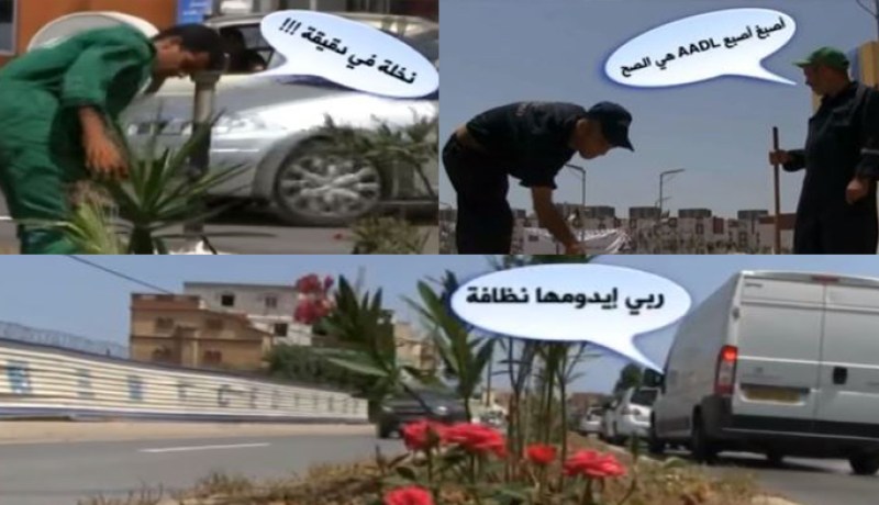 بالفيديو.. “البريكولاج” لتزيين العاصمة قبل زيارة تبون