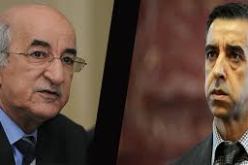 حداد يصف تبون بـ”المفترس” ويؤكد “FCE” لم ينهب