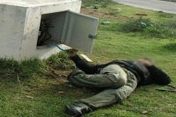 هلاك شاب بصعقة كهربائية بقمار في الوادي