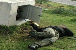 هلاك شخص بصعقة كهربائية في مستغانم
