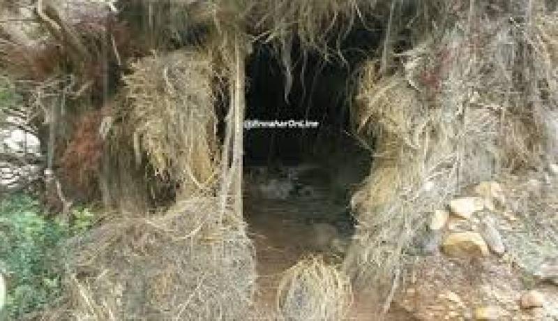 كشف وتدمير مخبأين للإرهابيين بعين الدفلى
