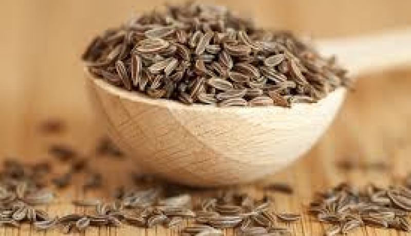 “الكراوية” تحمي القولون من السرطان