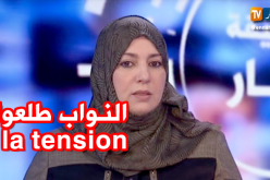نعيمة صالحي: فرحة النواب بمصادقتهم على قانون المالية “طلّعتلي La tension”