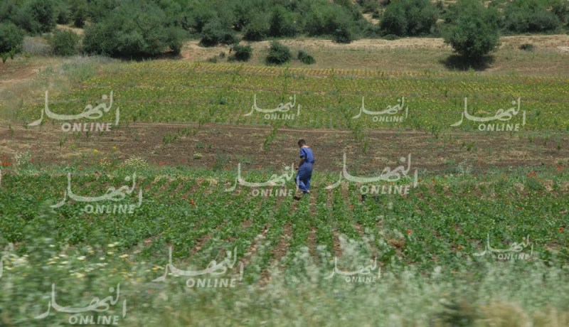 نزع الأراضي غير المستغلة من قبل أصحابها