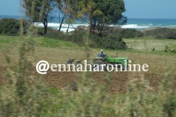 إلغاء منح الإمتياز الفلاحي للأجانب في المزارع النموذجية