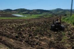 رداءة الأحوال الجوية تزيد في معاناة أرباب الماشية