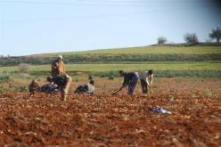 الحكومة تكلف ديوان الأراضي الفلاحية بالتدخل لاسترجاع اراضيها