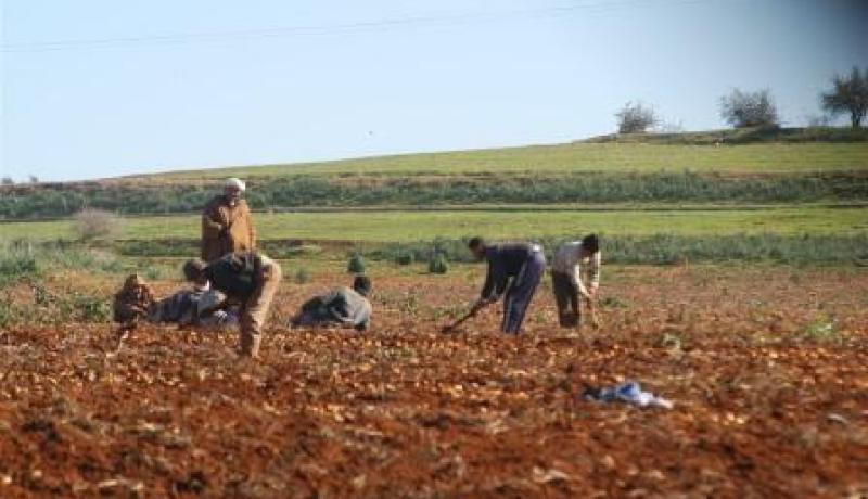 الحكومة تكلف ديوان الأراضي الفلاحية بالتدخل لاسترجاع اراضيها