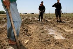 الحكومة تنشئ جمعيات للمستثمرين الفلاحيين وتوسع مجلس إدارة الغرفة الوطنية للفلاحة إلى وزارات أخرى