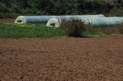 شكوى ضد مسؤول الصناديق المالية للمحافظة السامية للسهوب